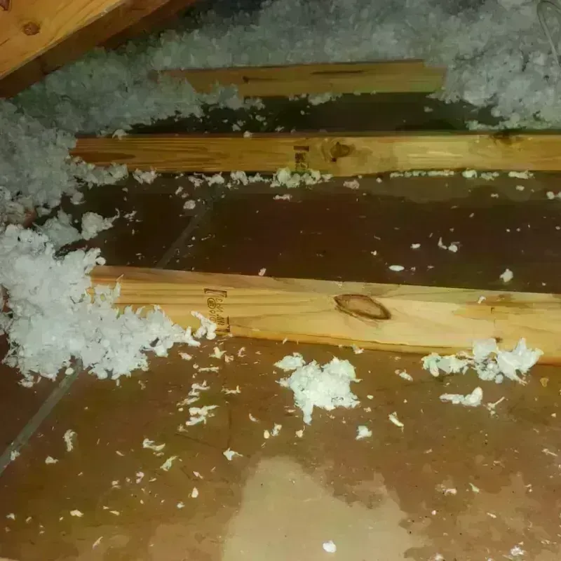 Attic Water Damage in Jasper, AL