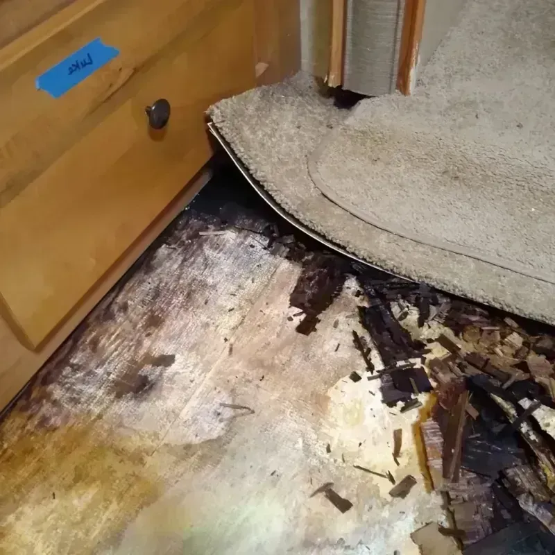 Wood Floor Water Damage in Jasper, AL